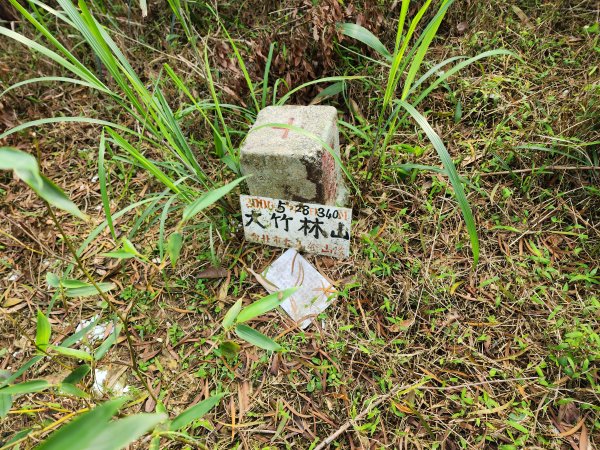 20250404雙十縱走失敗撤退改走蝙蝠山2892559