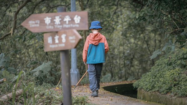 遇見淡水版花園鰻 - 半嶺水圳步道上游段 & 松溪瀑布2651125