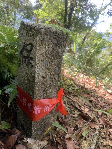 20250531屏東虻彈山東峰2803171