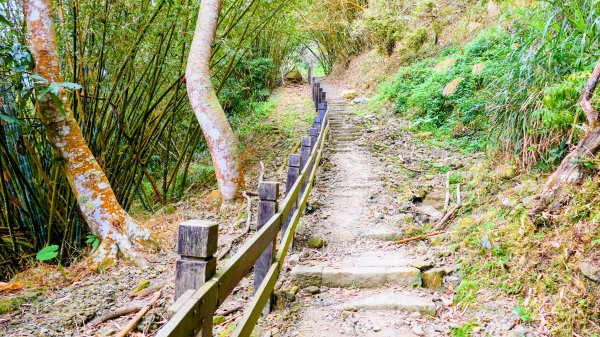 梅嶺竹子尖山2987426