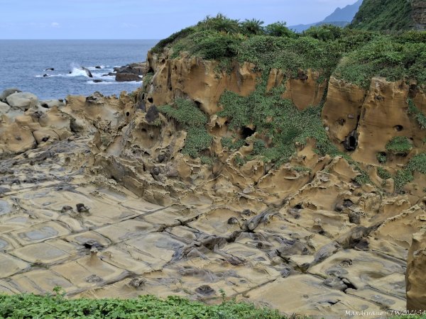《基隆》奇石黑鳶｜和平島地質公園環山步道O繞202609183121015