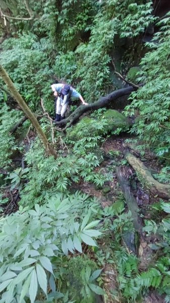 蛇來運轉之蛇年爬蛇山  蛇子形古道-三爪子坑山-蛇子崙山O型2784027