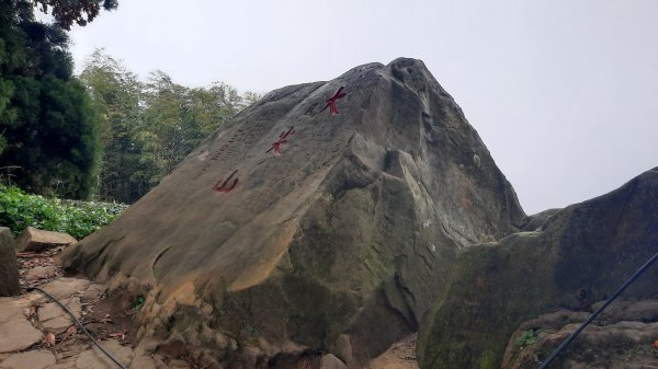 《雲林》全程陡陡｜華山10-5號步道上雲嘉大尖山202203061631191