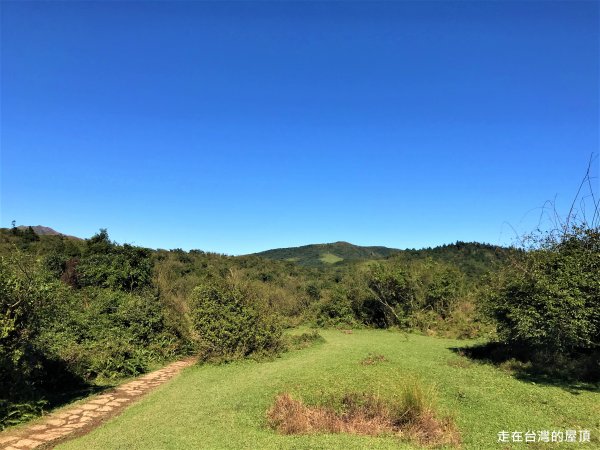 陽明山東西大縱走東段1183928