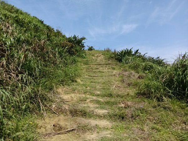 瑞芳區海園古道+鼻頭山稜+門牙岩O型2768335