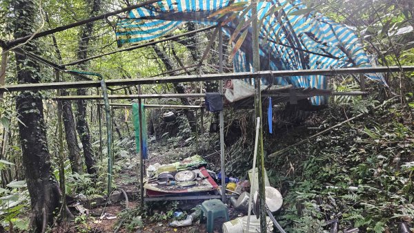 20251210萬里加投山-芎蕉坪古道-北八斗山東南峰-北八斗山-夏綠蒂山-神主嶺-陳明故居2958719