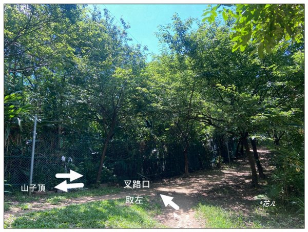 山子頂山 (桃園、龜山)2826856