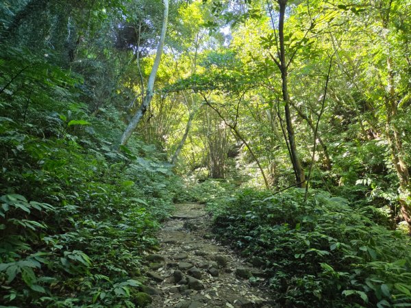 桃園石門山（小百岳）2910042