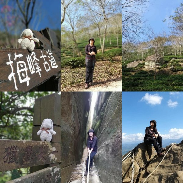 230312-撿一座被遺忘的小百岳#067 竹子尖山。美美兔階梯陡上稜線O型環走一圈。2116520