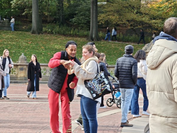 [紐約馬之行-11] 2025_1101 中央公園-畢士大露臺2945080