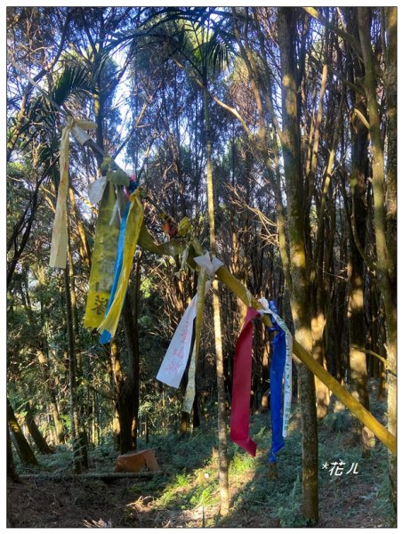 雨後頭縱走 (日月潭)2694398