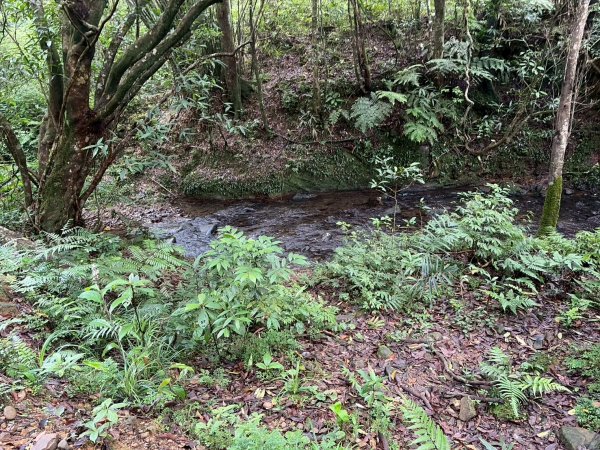 虎豹雙棲越野17K複習跑-part23072621