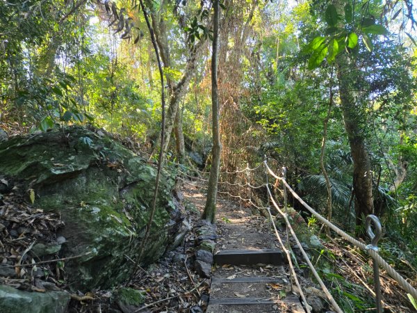 雪山坑登山步道~巨人之手2948719