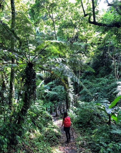 小百岳#37～馬那邦山 976646