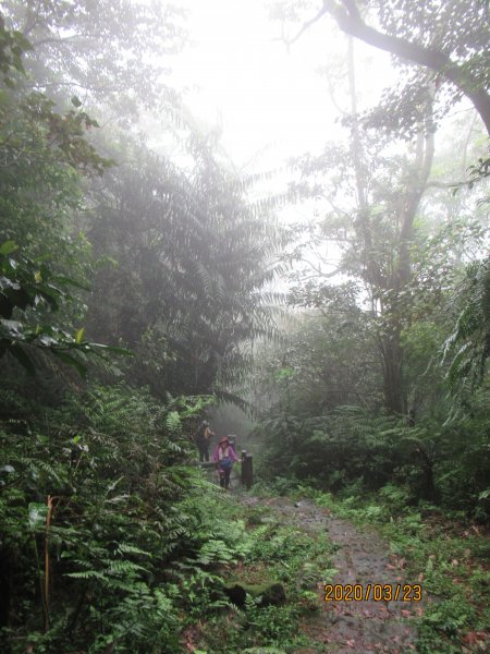 汐止大尖山908476