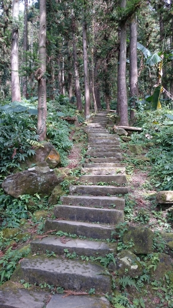 仙山登山步道41014