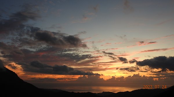 雲山水花鳥蝶-天龍國阿伯的日常7/242229439