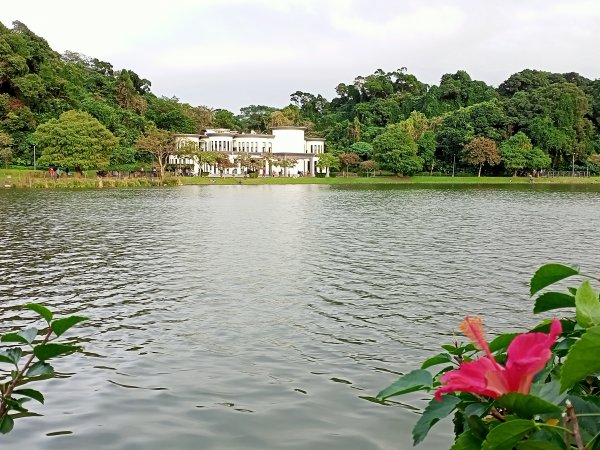 【南山神壽任務尋寶趣】碧湖公園步道憶故人1579637