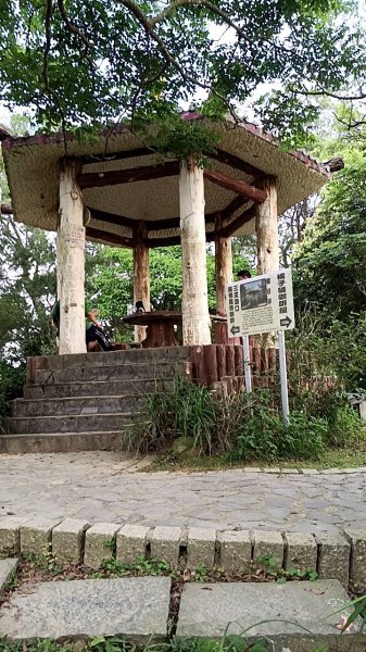 20250517 倒別牛-中坑山-飛鳳山 大O型2790381