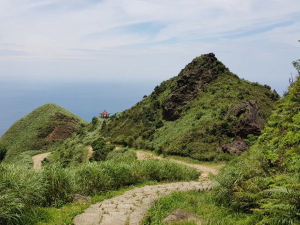 2019.06.21報時山、無耳茶壺山614723