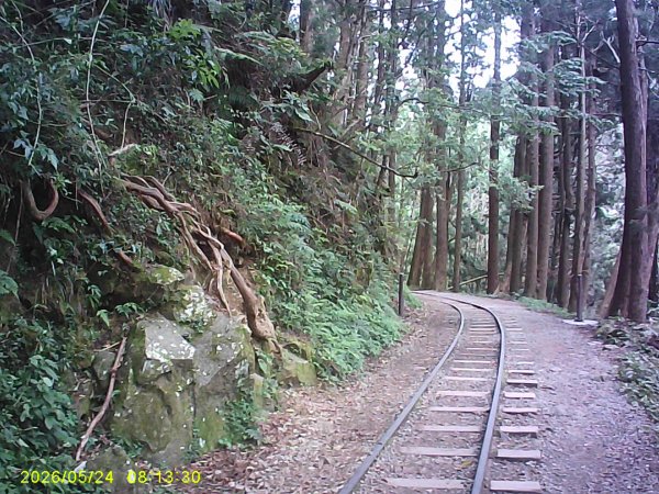 兒玉(自忠)山、東水山、東水山西峰及特富野古道O繞。3061773