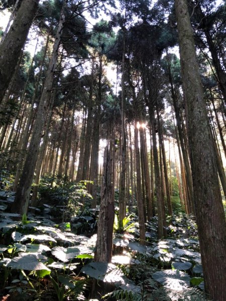 俯瞰石門水庫絕佳視角的外鳥嘴山513770