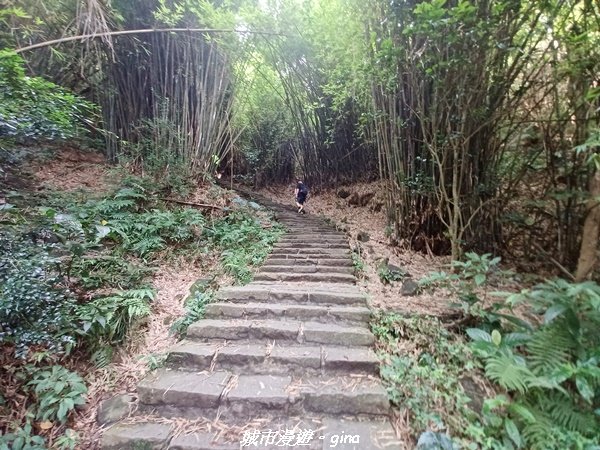 【新北八里】搭捷運公車爬山趣。 小百岳集起來。編號05小百岳-八里觀音山(硬漢嶺步道)1759648