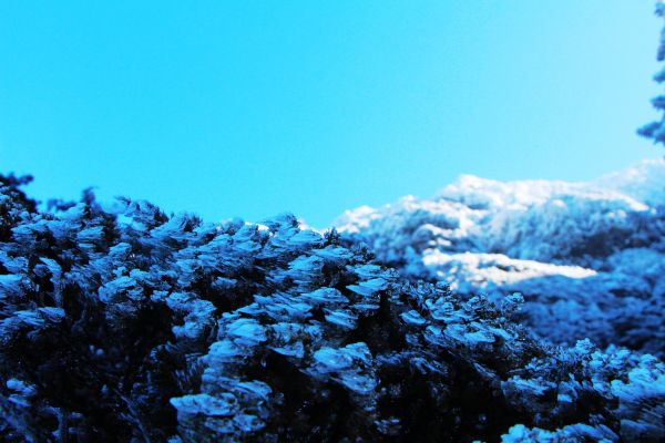 玉山  風雪後 , 另一番美景 !224479