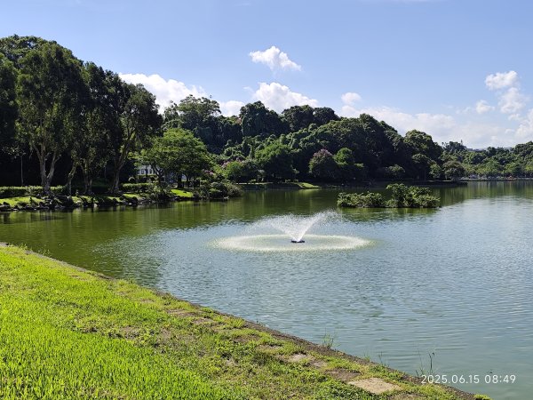 內湖碧湖公園步道、郭子儀紀念堂、獅頭山、大港墘公園、宏匯瑞光廣場2813426