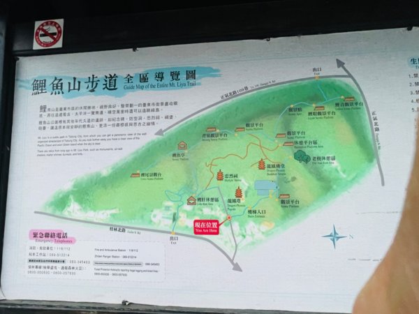 1140405台東鋰魚山步道2754200