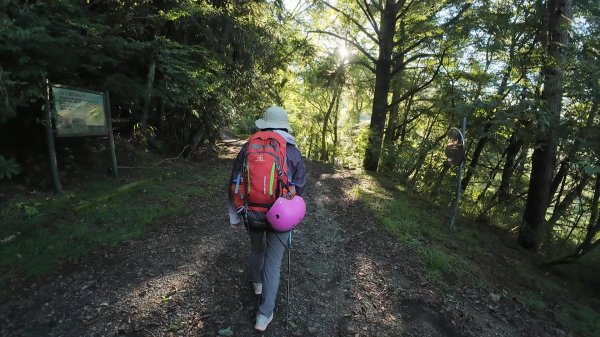 大霸群峰:大霸尖山、小霸尖山、伊澤山、加利山、耶巴奧山2849575