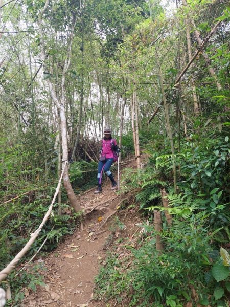 阿拔泉山+觀音石+獨立山1711848