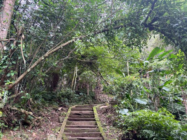 鯉魚山步道群2728319