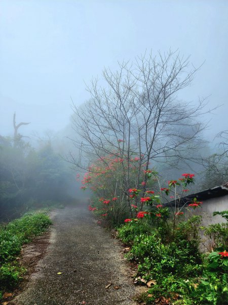 小百岳集起來-關刀山2182869