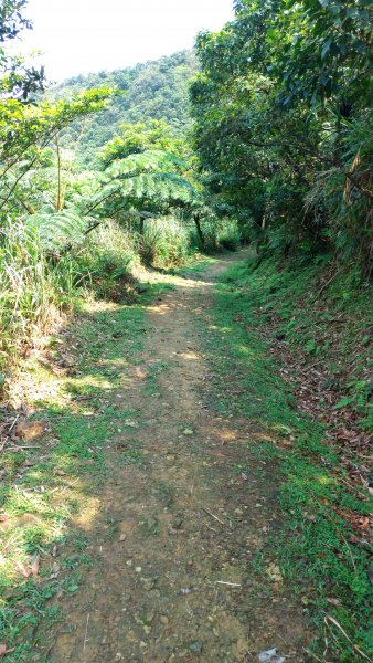 黑肉坪至本山地質公園910026