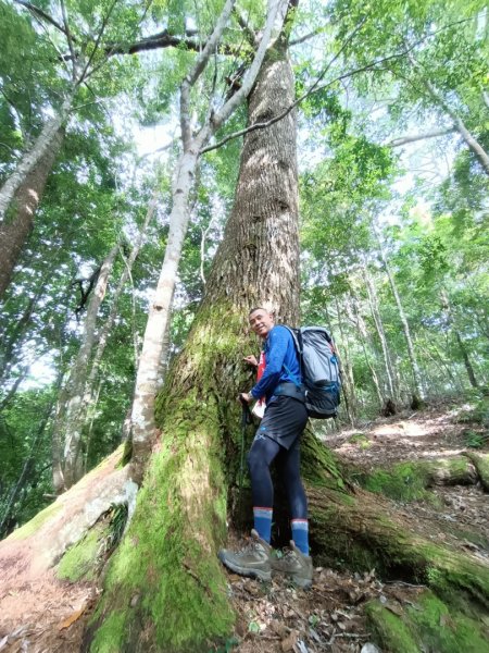 屯野生台山、石麻達山、錦屏山縱走1708392