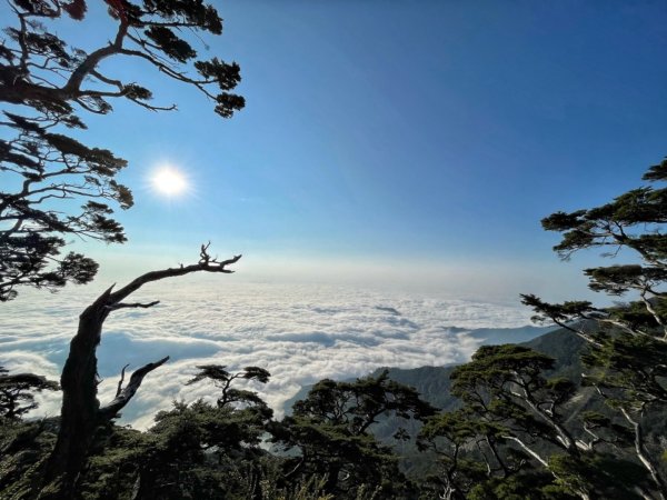 見證最美麗北大武山雲海、鐵杉1318820