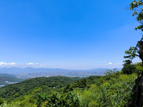 20250822微笑山線205高地段