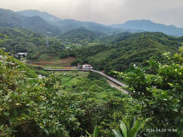 大直美麗華百樂園、內湖路一段737巷廟會遶境、萬里和金山風光3031488
