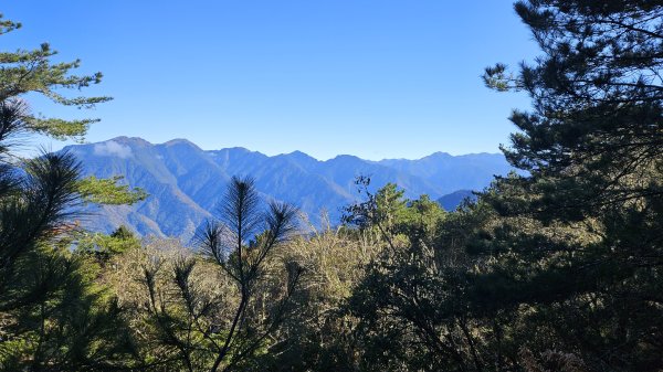 巒安堂-西巒2686011