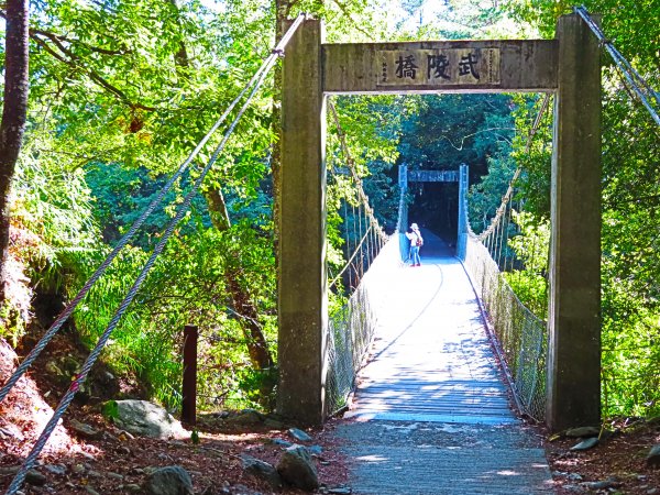 如童話般的森林步道-武陵桃山瀑布步道1190811