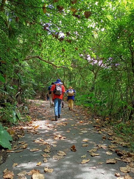 天母→猴洞→湖山→半嶺→第二展望台→龍鳳谷→民族公園→花博公園1445750