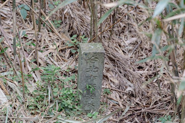 [台北]大屯山2693392