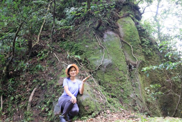 菁桐古道-磐石嶺古道2799104