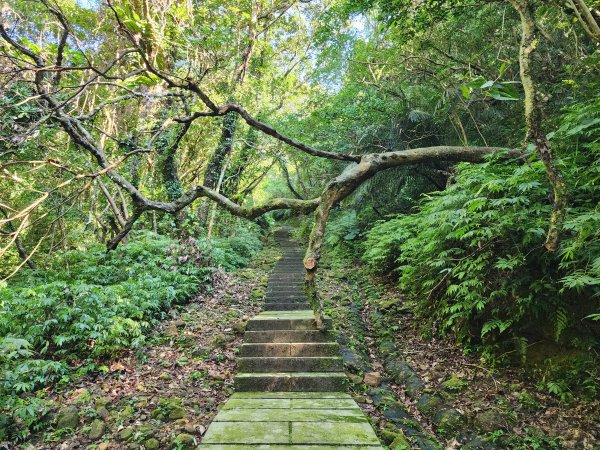 小百岳No.10⛰五分山2883142