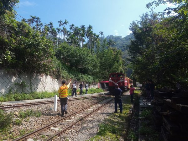 獨立山國家步道 大巃頂步道 太平945726