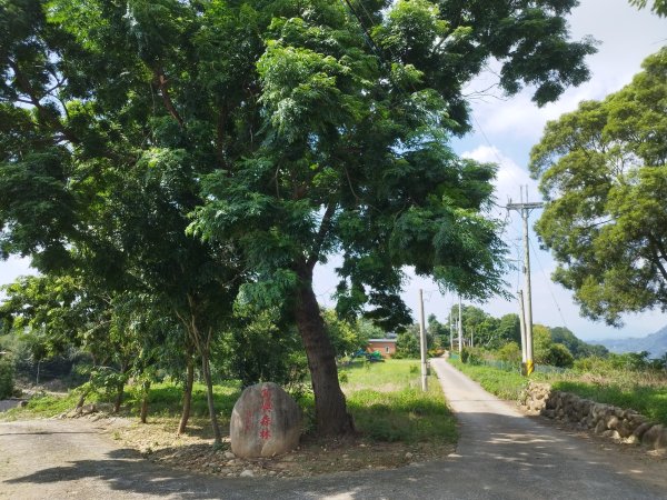 [台中新社][三]十分、月湖、永居湖、新社東、新社