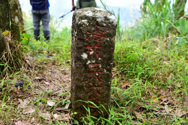 大石璧坑山-五酒桶山-龍岡山-灣坑頭山824285