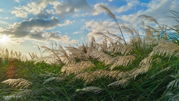 八里左岸夕陽火燒雲10/12&紗帽路上的夕陽10/142621704