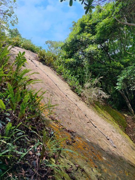 金面山/白石山-小百岳#21-桃園市大溪區2247882